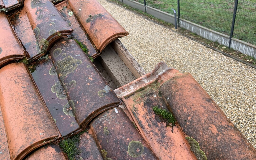 🏠 Intervention d’urgence toiture à Beautiran (33640), Gironde – Suite à la tempête Nils