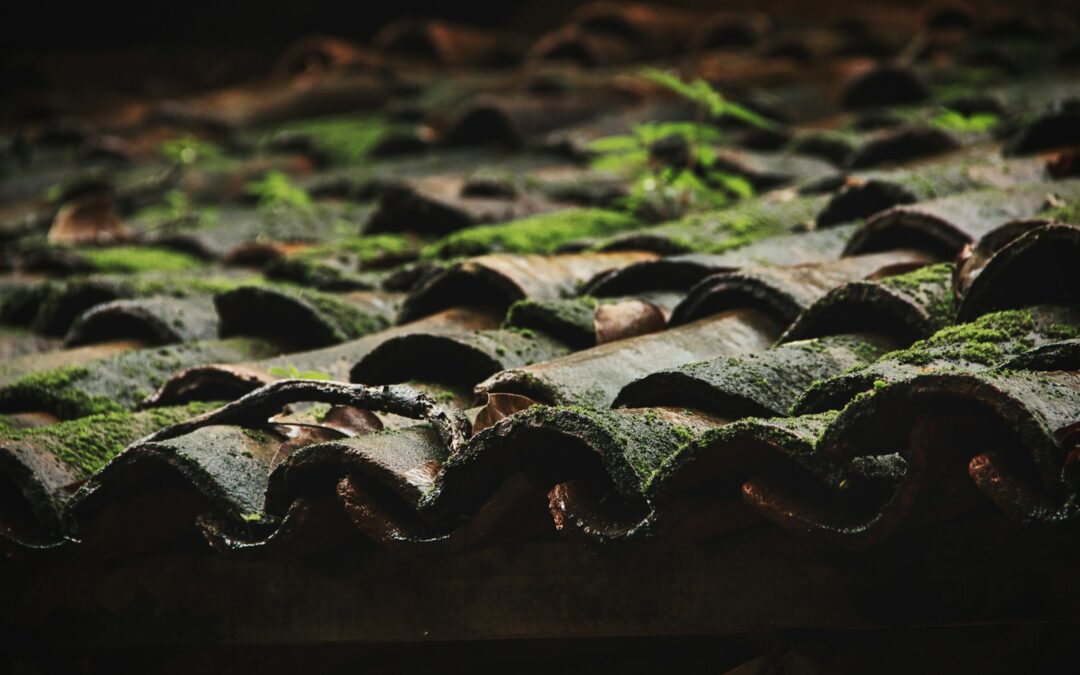 Préparer sa toiture à l’arrivée du printemps : les vérifications essentielles