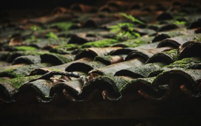 Préparer sa toiture à l’arrivée du printemps : les vérifications essentielles